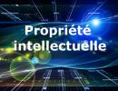 Avocat propriété intellectuelle expérience 6/7 ans