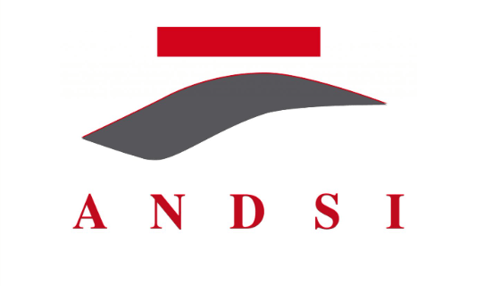 ANDSI