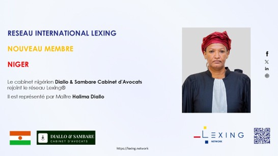 Carte_Niger_Reseau_Lexing