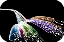 Téléprocédures 