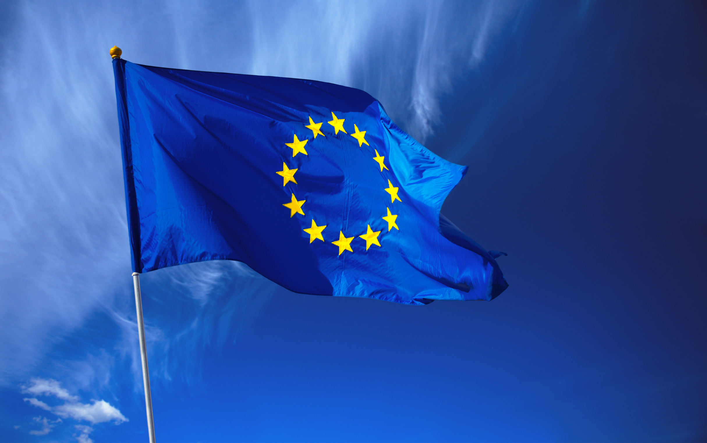 Flag of European Union