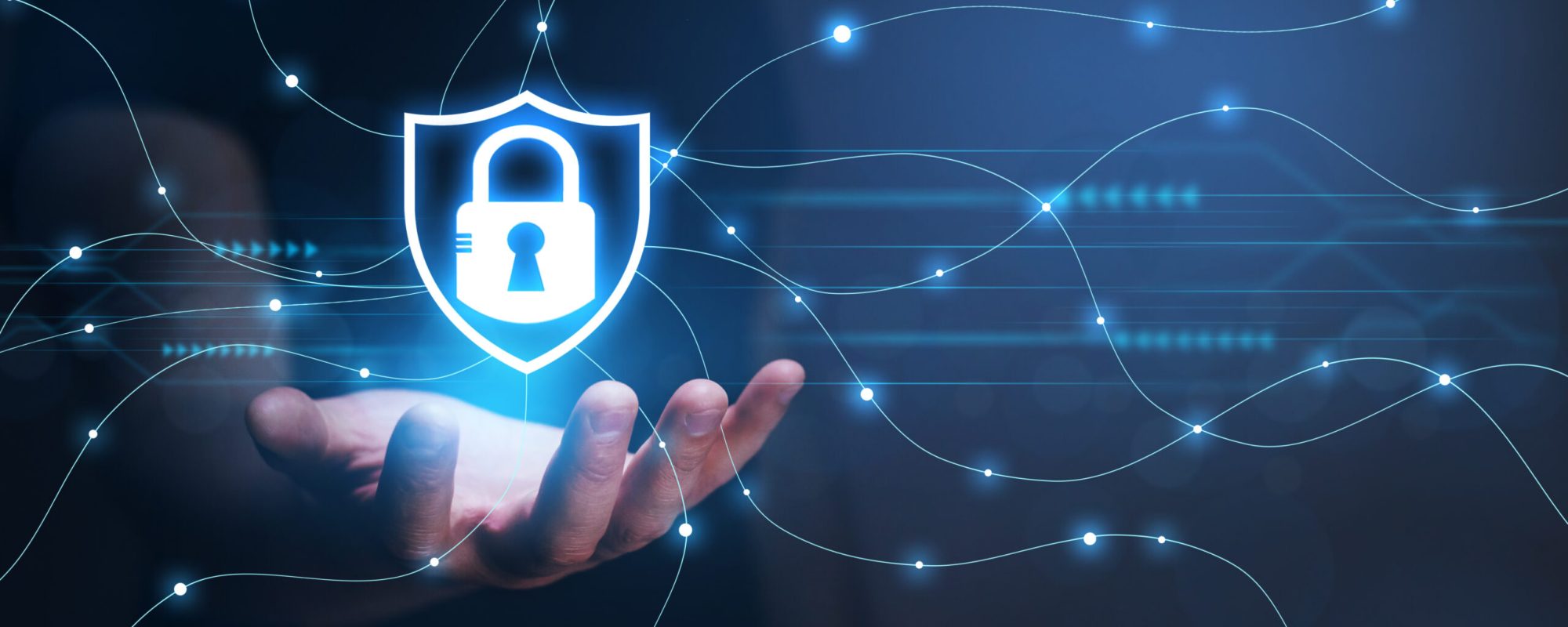 Avocat Cyberdéfense Cybersécurité