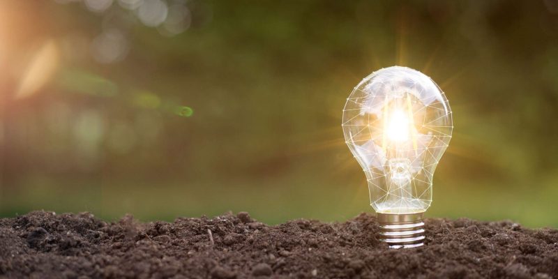 lightbulb with small plant on soil and sunshine. concept saving lightbulb tree with sunlight on soil. concept save world and energy power